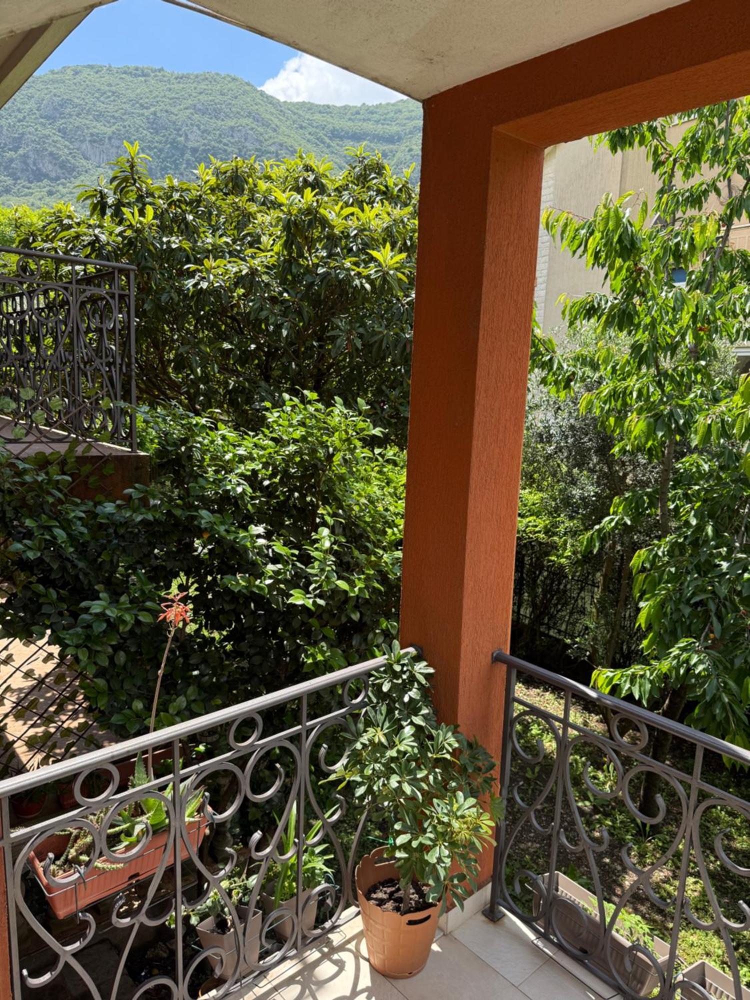 Apartment Damjan Kotor Extérieur photo